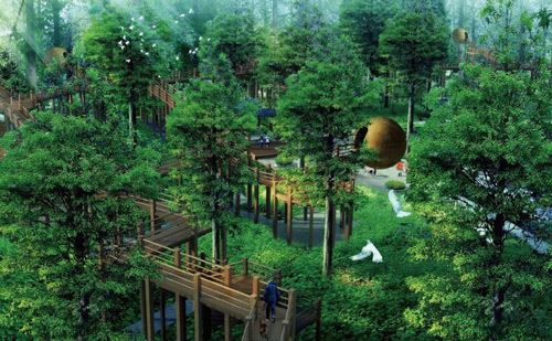 亞馬遜樹上探險樂園