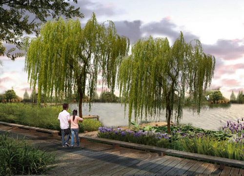 特色道路設計——柳蔭棧道